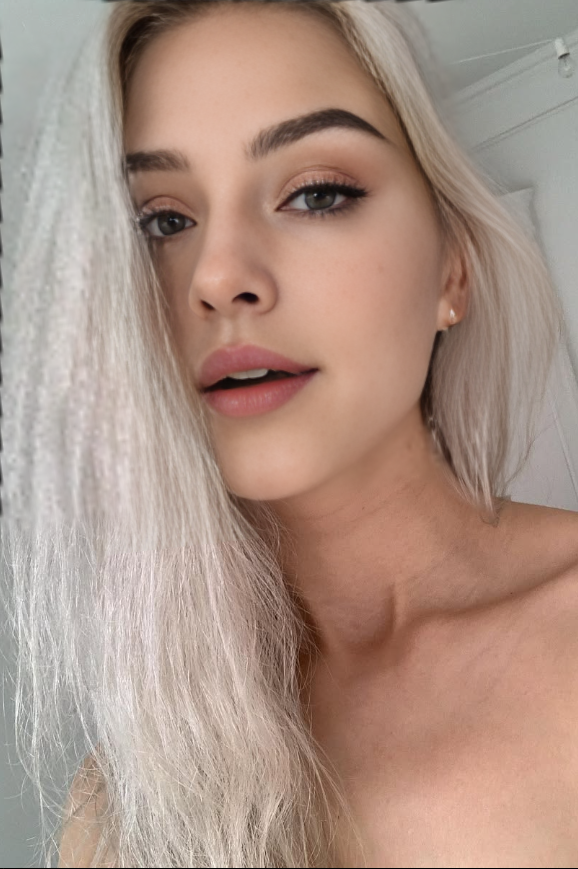 Model x